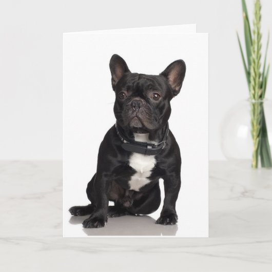 French Bulldog Kaart (Voorkant)