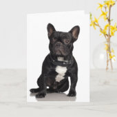 French Bulldog Kaart (Gele Bloem)