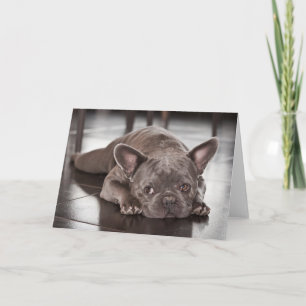 French Bulldog Kaart