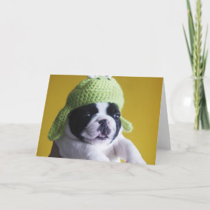 French Bulldog Kaart