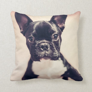 French Bulldog Kussen