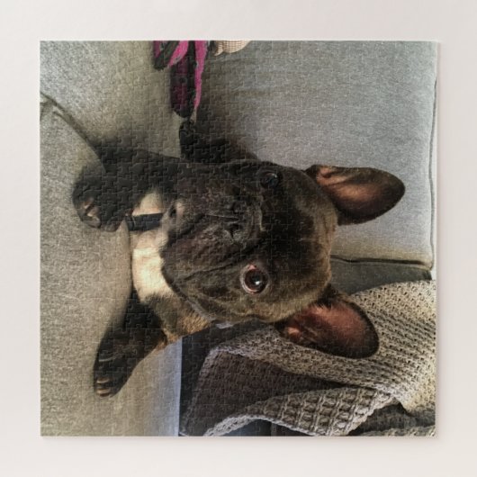 French Bulldog Legpuzzel (Horizontaal)
