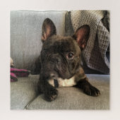 French Bulldog Legpuzzel (Verticaal)
