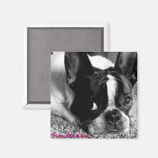 French Bulldog Magnet (Voorkant / Achterkant)
