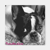 French Bulldog Magnet (Voorkant)