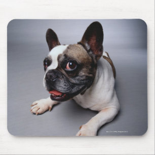 French Bulldog Muismat