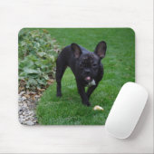 French Bulldog Muismat (Met muis)