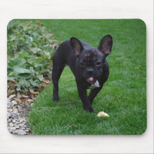 French Bulldog Muismat