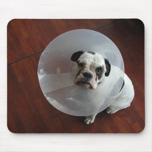 French Bulldog Muismat (Voorkant)