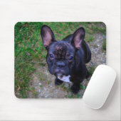 French Bulldog Muismat (Met muis)