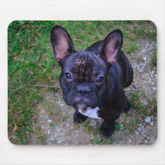French Bulldog Muismat (Voorkant)