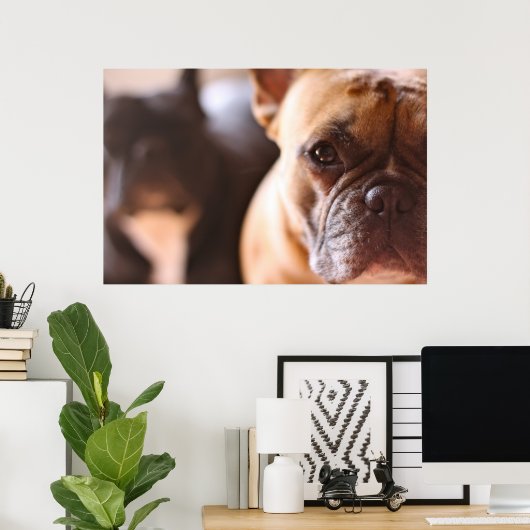French Bulldog Poster (Thuiskantoor)