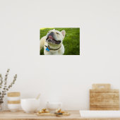 French Bulldog Poster (Keuken)