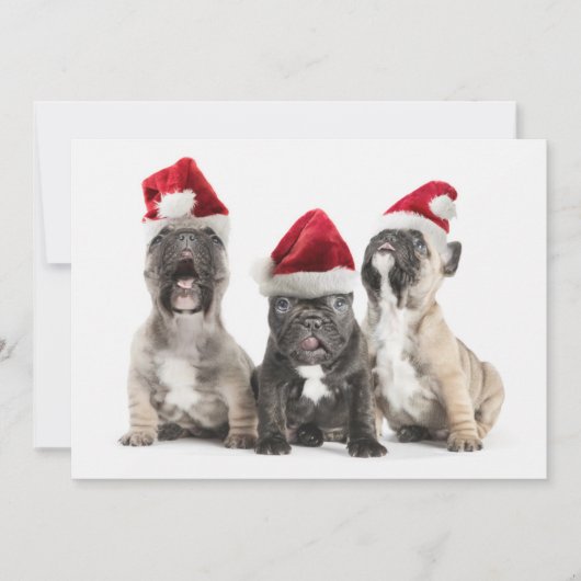 French bulldog puppies sing wearing Santa hats Feestdagenkaart (Voorkant)