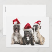 French bulldog puppies sing wearing Santa hats Feestdagenkaart (Voorkant / Achterkant)