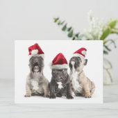 French bulldog puppies sing wearing Santa hats Feestdagenkaart (Staand voorkant)