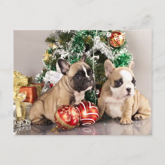 French bulldog puppy and Christmas gifts Feestdagenkaart (Voorkant)