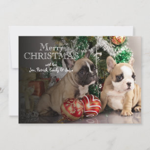 French bulldog puppy and Christmas gifts Feestdagenkaart