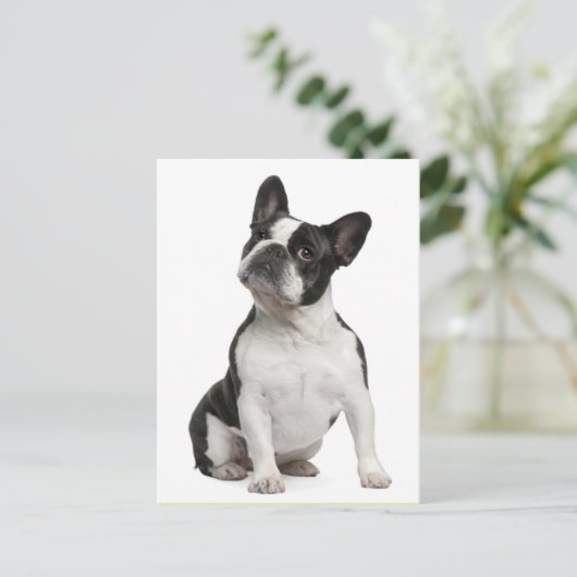 French Bulldog Puppy Dog Post Card Briefkaart (Staand voorkant)