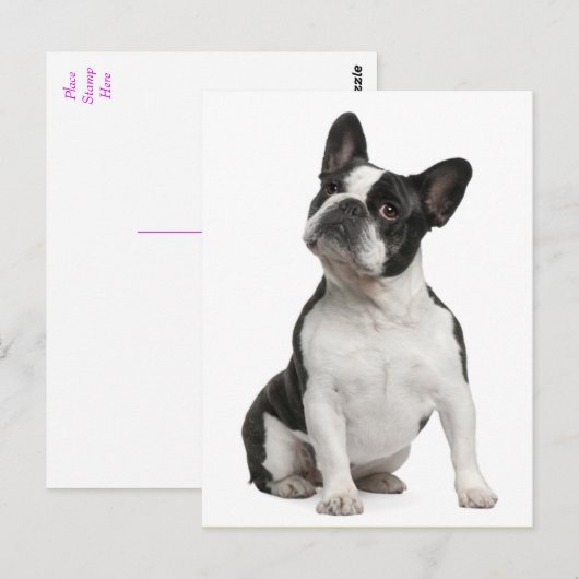 French Bulldog Puppy Dog Post Card Briefkaart (Voorkant / Achterkant)
