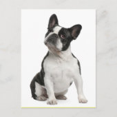 French Bulldog Puppy Dog Post Card Briefkaart (Voorkant)