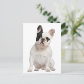 French Bulldog Puppy Dog Post Card Briefkaart (Staand voorkant)