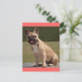 French Bulldog Puppy Dog Post Card Briefkaart (Staand voorkant)
