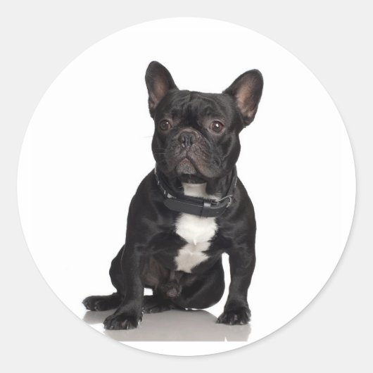 French Bulldog Ronde Sticker (Voorkant)