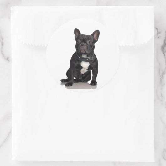 French Bulldog Ronde Sticker (Tas)