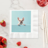 French Bulldog Servet (Insitu)