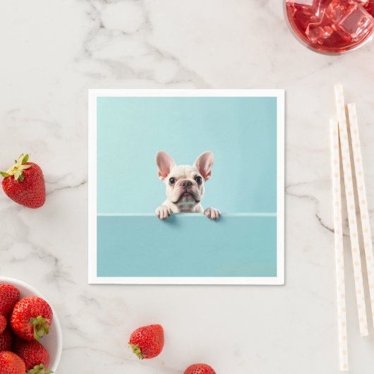 French Bulldog Servet (Insitu)
