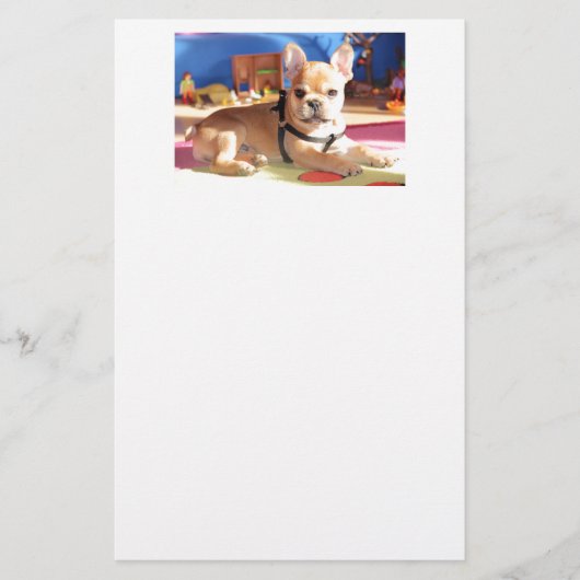French Bulldog süßer Welpe Briefpapier (Voorkant)