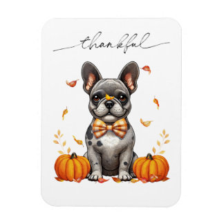 French Bulldog Thankful Fall Leaves Pumpkins Magneet