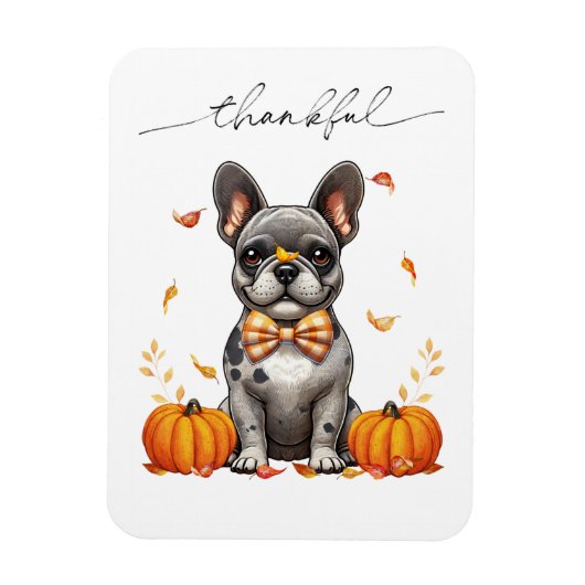 French Bulldog Thankful Fall Leaves Pumpkins Magneet (Verticaal)