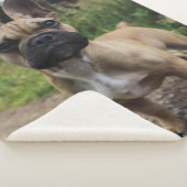 French Bulldog Throw Pillow (3/4)
