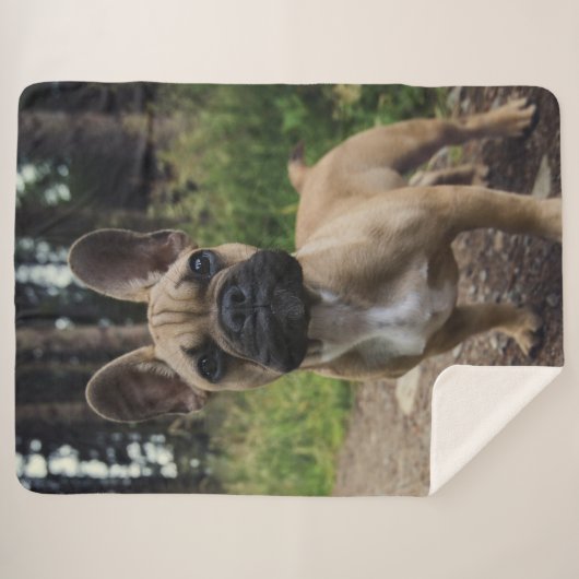 French Bulldog Throw Pillow (Voorkant (horizontaal))