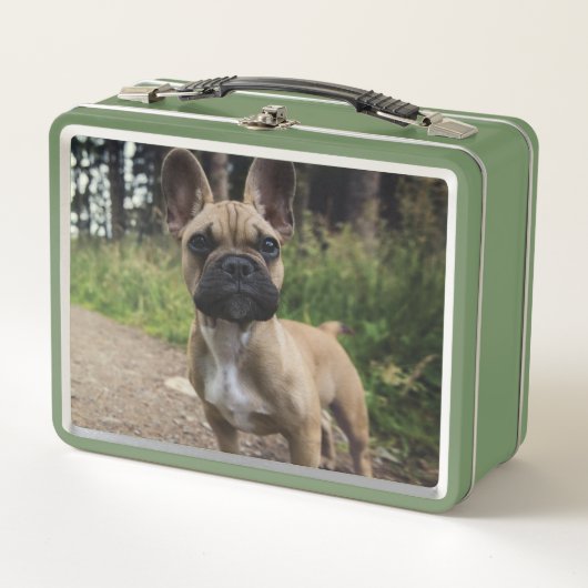 French Bulldog Throw Pillow (Voorkant)