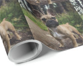 French Bulldog Throw Pillow Cadeaupapier (Rol Hoek)