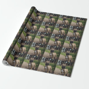 French Bulldog Throw Pillow Cadeaupapier