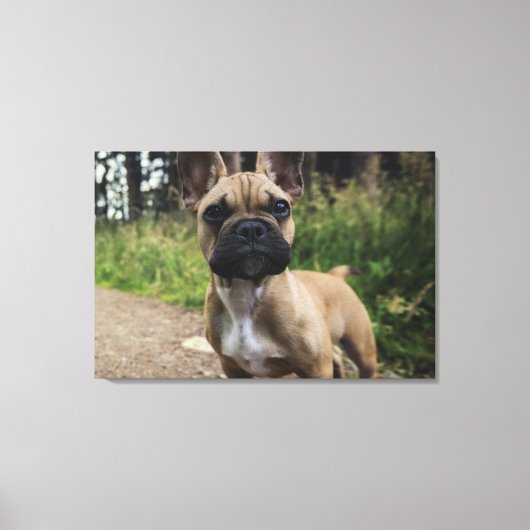 French Bulldog Throw Pillow Canvas Afdruk (Voorkant)