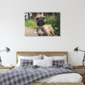 French Bulldog Throw Pillow Canvas Afdruk (Insitu (Slaapkamer))