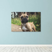 French Bulldog Throw Pillow Canvas Afdruk (Insitu (Houten vloer))