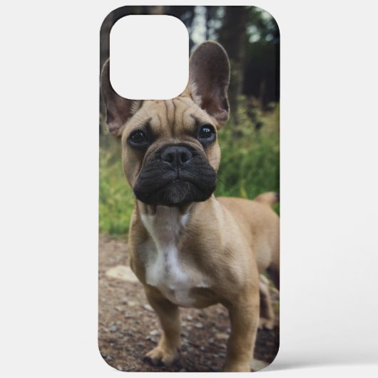 French Bulldog Throw Pillow Case-Mate iPhone Case (Achterkant)