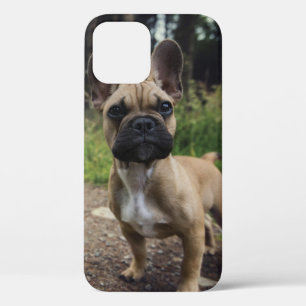 French Bulldog Throw Pillow Case-Mate iPhone Case