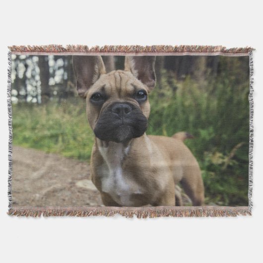 French Bulldog Throw Pillow Deken (Voorkant)