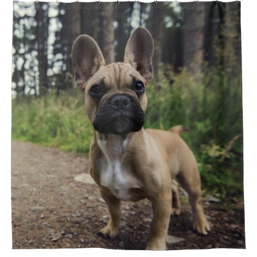 French Bulldog Throw Pillow Douchegordijn (Voorkant)