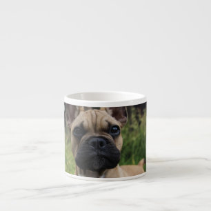 French Bulldog Throw Pillow Espresso Kop