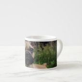 French Bulldog Throw Pillow Espresso Kop (Voorkant rechts)