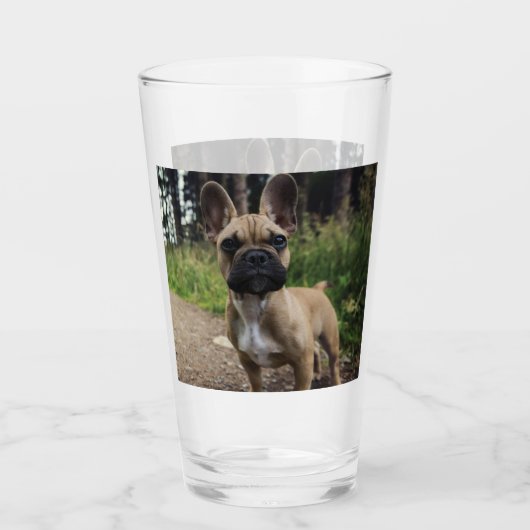 French Bulldog Throw Pillow Glas (Voorkant)