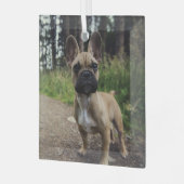 French Bulldog Throw Pillow Glas Ornament (Voorkant links)
